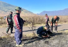 Kemenhut Dalami Dugaan Pidana Kebakaran Bromo, Libatkan Ahli Tanah dan Lingkungan