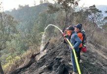 Karhutla Masih Berlangsung di Sejumlah Gunung Jawa Timur