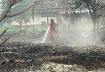 Kemenhut Pastikan "Hotspot" Karhutla di Kalteng dan Kalbar Turun Tajam