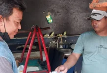 Eksistensi Uang Logam di Tengah Gempuran Digitalisasi