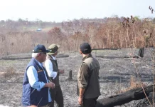 Otorita IKN Minta Perkuat Patroli Darat dan Respons Cepat untuk Cegah Karhutla