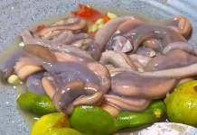 Tembiluk, Cacing Laut yang Jadi Kuliner Khas Dayak