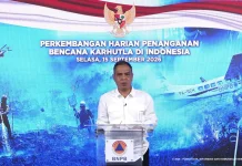 Kementan Pastikan Stok Beras Nasional Aman hingga 10 Bulan ke Depan