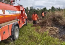 Luasan Karhutla Kotawaringin Barat Terus Bertambah