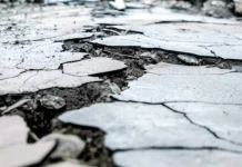 Pahami, Persiapan yang Harus Dilakukan Saat Gempa Terjadi Malam dan Dini Hari