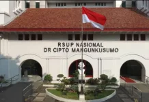 Korban Keracunan MBG di Karo, RSCM Pastikan Memori Febiona Baik