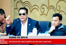 Anggota DPR Sebut Pengelolaan SDA Belum Sesuai Pasal 33 UUD 1945