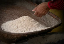 Mengenal Beras Fortifikasi dan Bedanya dengan Beras Premium