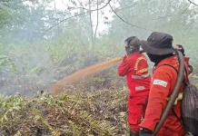 Hotspot Nasional Turun, Sumsel Masih Jadi Perhatian