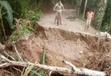 Jembatan di Gampong Adan Aceh Putus akibat Banjir, Akses Petani Lumpuh