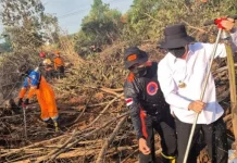 Pipa Suntik Gambut, Inovasi Pemadaman Karhutla dari Bawah Permukaan