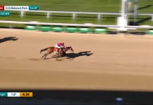 Forever Young Juara Jockey Club Gold Cup ke-108