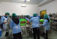 Mirip Aplikasi Ojol, BGN Bakal Bikin Sistem Rating untuk Dapur MBG