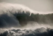 Kenali Tanda-tanda Tsunami dan Bagaimana Antisipasinya