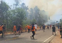 Karhutla di Poso Hanguskan 15 Hektare Kebun dan Dua Rumah Warga