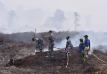 Pemerintah Kerahkan 64 Pesawat dan 54.394 Personel Tangani Karhutla