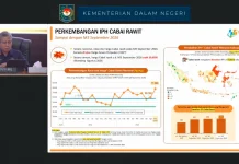 Harga Cabai Rawit Pekan Ketiga September Tembus Rp77 Ribu