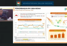 BPS Laporkan Harga Cabai Merah Tinggi Pekan Ketiga September
