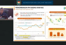 BPS Laporkan Kenaikan Harga Daging Ayam Ras Pekan Ketiga September