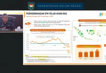 BPS Catat Harga Telur Naik meski di Bawah HAP
