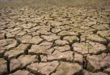 Desalinasi Air Laut, Mampukah Jadi Solusi Kekeringan di Jakarta?