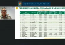 Harga Cabai Petani Jauh di Bawah Pasar