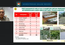 Kementan Perkuat Pasokan Cabai Antisipasi Kenaikan Harga