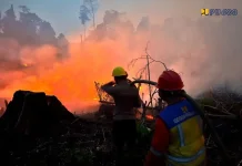 Karhutla Berau, Kementerian PU Kerahkan Peralatan dan Pasokan Air