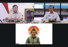 Presiden Prabowo Pantau Karhutla, Sebanyak 209 Hektare Masih Proses Pemadaman