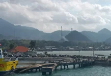 BP2B Sambut Baik RUU Daerah Kepulauan, Harapan Baru bagi Bawean