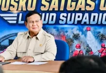 Presiden Dijadwalkan Gelar Ratas Mitigasi Karhutla, Panggil Sejumlah Ahli