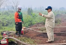 Presiden Siapkan Anggaran untuk Masyarakat Buka Lahan tanpa Membakar