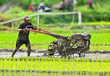 Hari Tani Nasional, Melihat Transformasi Alat Pertanian dari Masa ke Masa