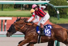 Sprinters Stakes 2026 Hadirkan Persaingan 16 Kuda