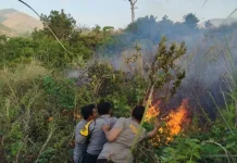 Karhutla Rinjani Tembus 977 Hektare, Angin Kencang jadi Kendala Pemadaman