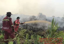 IDAI Ingatkan Bahaya Asap Karhutla bagi Pernapasan Anak