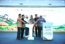 OJK dan Pemprov Jabar Perkuat Ekosistem Ayam Petelur lewat Program EGG