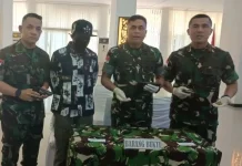Serahkan Tiga Senjata Api, Lima Anggota KKB Kembali dari PNG