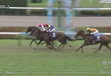 Puro Magic Menjadi Juara Sprinters Stakes 2026