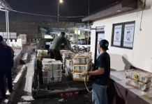 Ribuan Burung tanpa Dokumen Diamankan di Pelabuhan Bakauheni