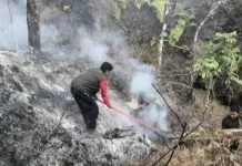 Karhutla Gunung Rinjani, Pendaki dari Senaru dan Torean Dialihkan ke Sembalun