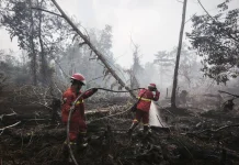 Titik Panas Nasional Naik, Kemenhut Perkuat Pengendalian Karhutla di Kalteng