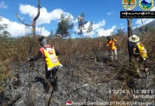 Karhutla Rinjani Capai 1.098,75 Hektare, Satu Titik Api Masih Dipantau