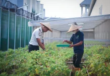 Rumah Asimilasi di Lapas, Apa Fungsi dan Kegiatannya?
