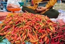 Berapa Harga Cabai, Beras, hingga Daging Hari Ini? Simak Data Harga Pangan Nasional