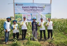 Pupuk Indonesia Panen Jagung Manis di Lahan Ponpes Segoro Agung