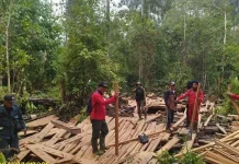 Kemenhut Musnahkan 316 Batang Kayu Hasil Temuan di TN Berbak dan Sembilang