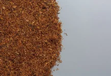 Kaji Mendalam Larangan Bahan Tambahan Tembakau demi Cegah Rokok Ilegal
