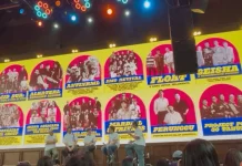 Momo dan Geisha Akan Reuni di Synchronize Fest 2026
