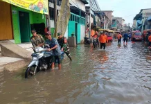 Banjir Rob Mengintai Jakarta Utara 13-14 dan 25-31 Oktober, Warga Diminta Waspada